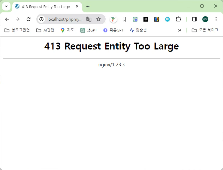 nginx - 413 Request Entity Too Large / 서버에서 예상하지 않은.. - 사부작 손프로
