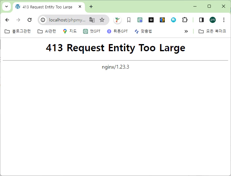nginx 413 Request Entity Too Large / 서버에서 예상하지 않은 응답