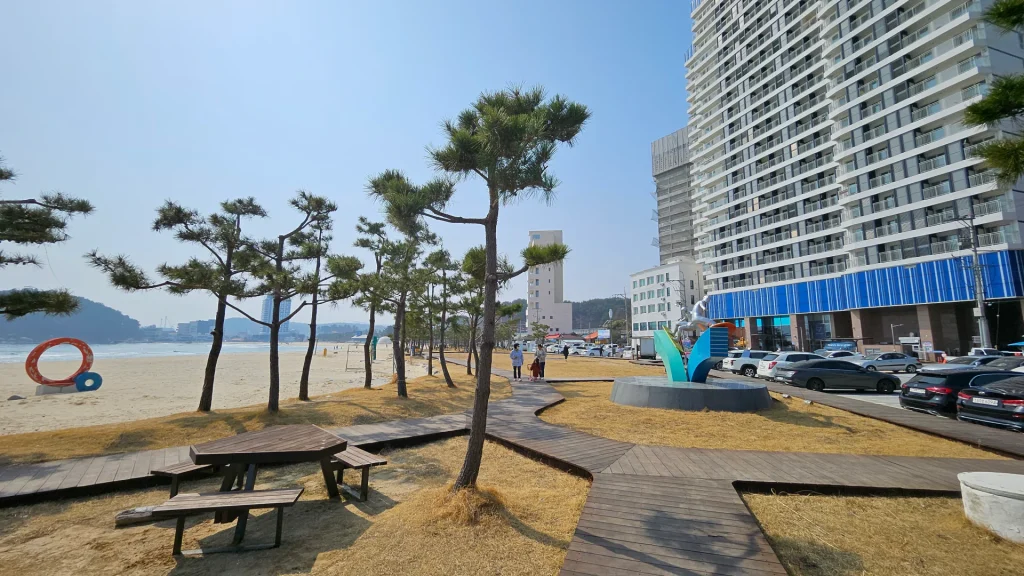 오션 스테이 양양  앞 죽도 해변 산책. 여행 지 산책로 중요함